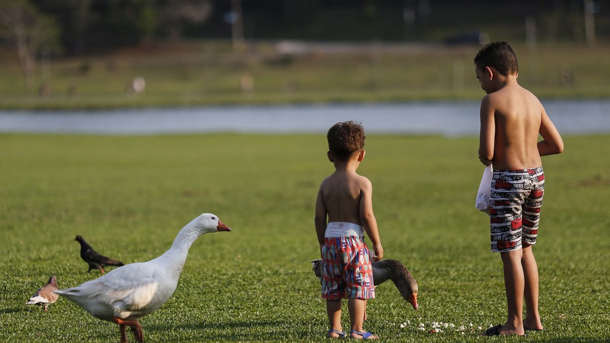  Após a frente fria, o calor volta ao Paraná com máximas de até 29ºC. Confira a previsão para os próximos dias