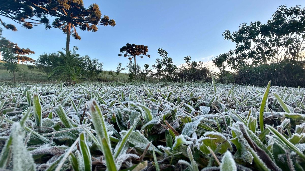 Forte frente fria avança e traz possibilidade de neve no Sul do país; veja onde