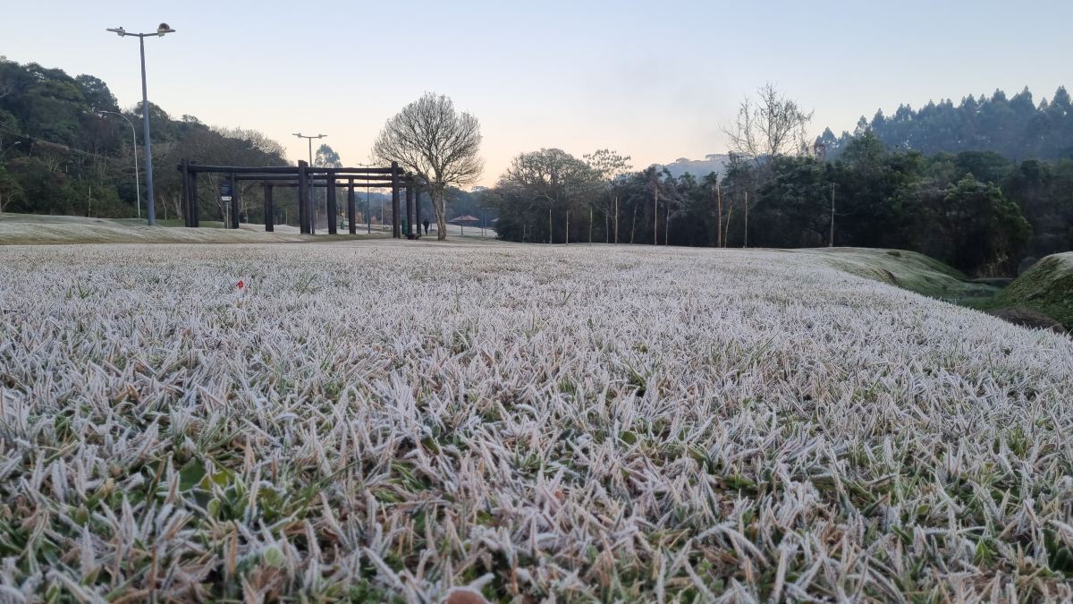 Manhã com geada transforma paisagens em Curitiba