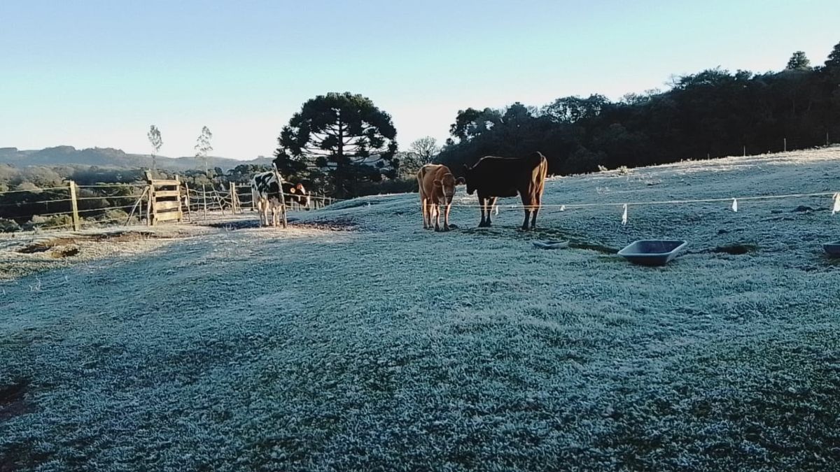 Registro do frio em Piraí do Sul nesta segunda-feira (26)