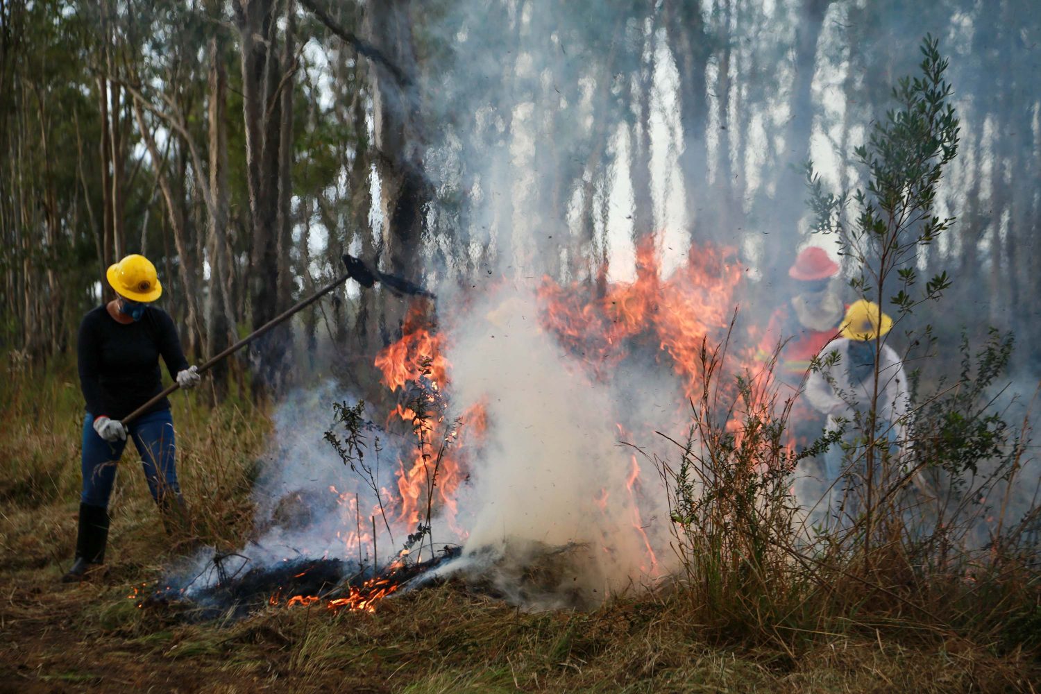 IAT emite alerta para riscos de incêndio no Paraná