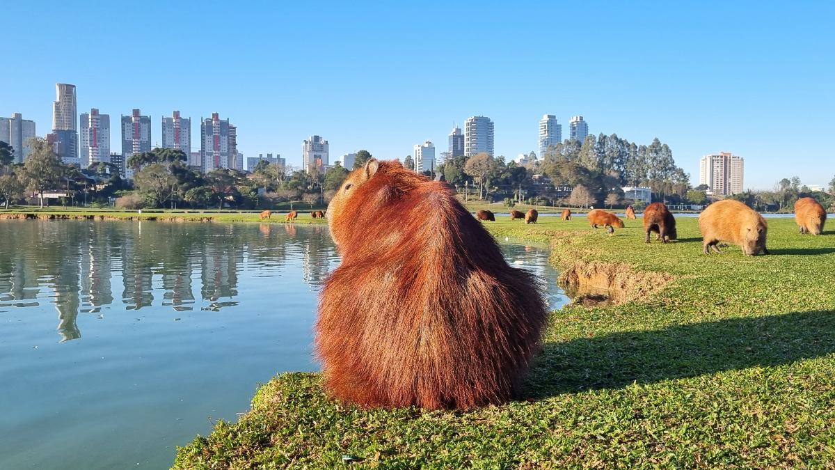 Sobe e desce da temperatura marca o mês de agosto no Paraná 