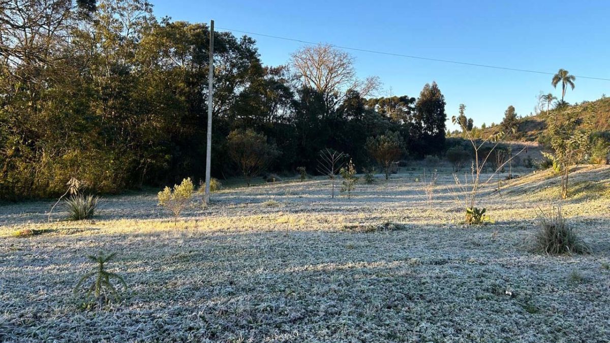 Paraná terá mínima de 0°C e previsão de geada nesta segunda (26)