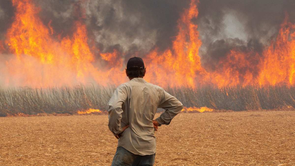 Quatro homens são presos suspeitos de causar incêndios criminosos