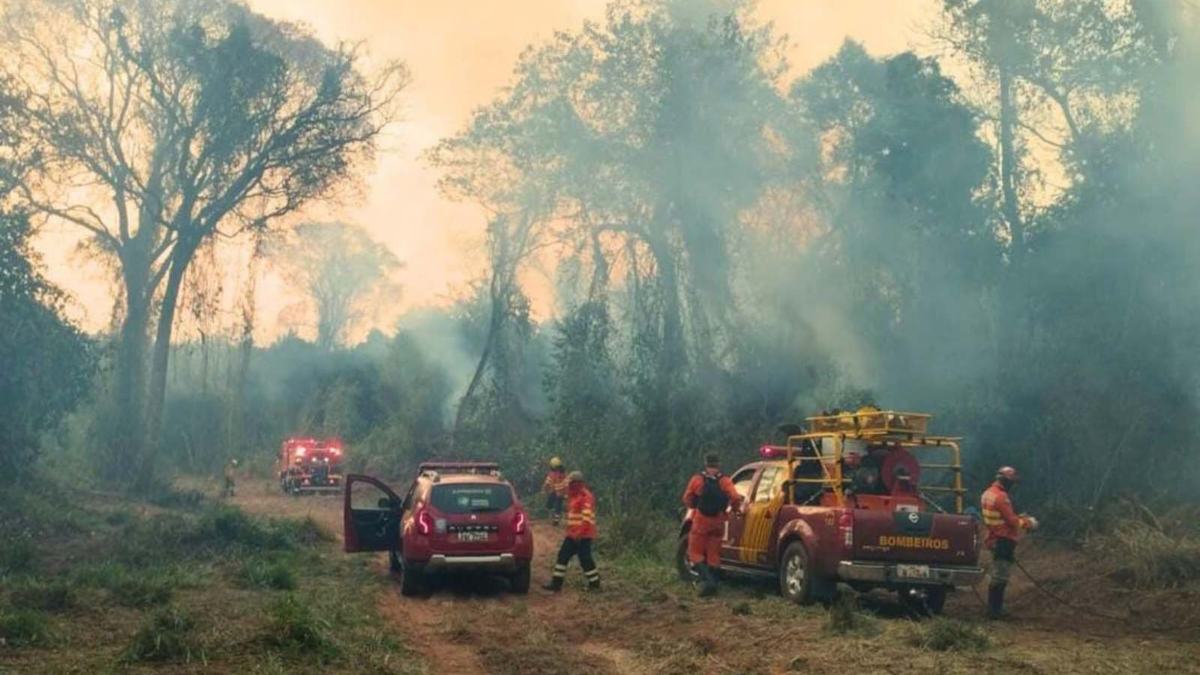 Corpo de Bombeiros do PR já atendeu mais de 9,3 mil incêndios florestais em 2024