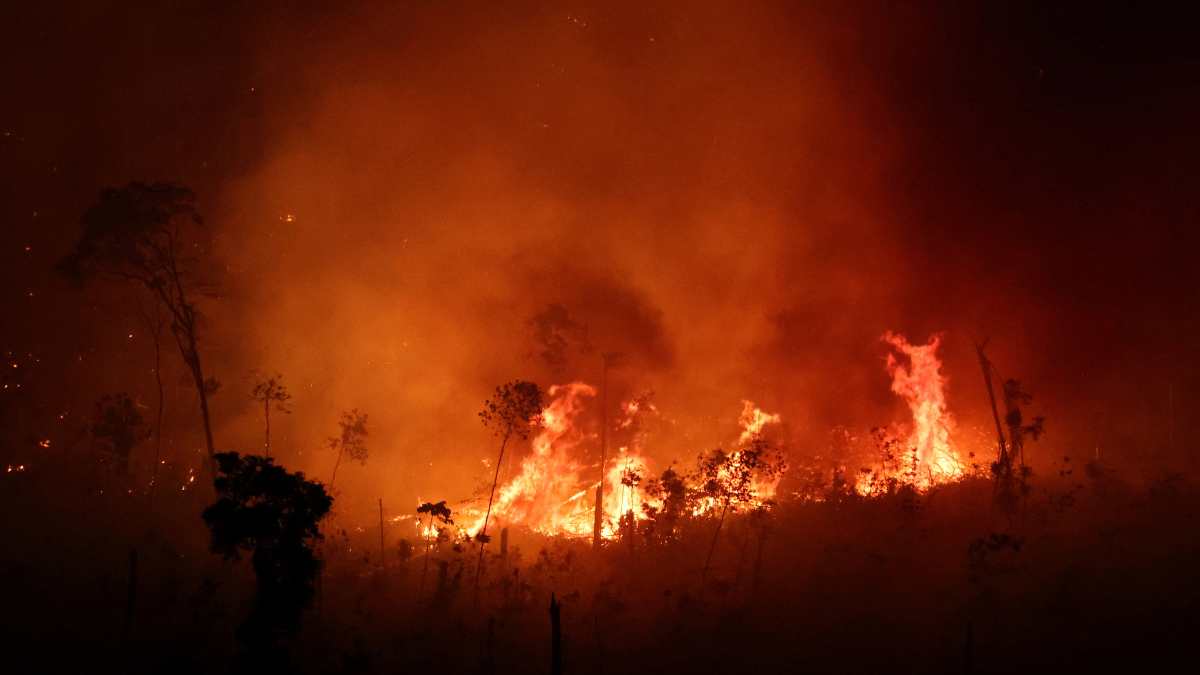 Amazônia tem o maior número de incêndios desde 2005 no mês de julho