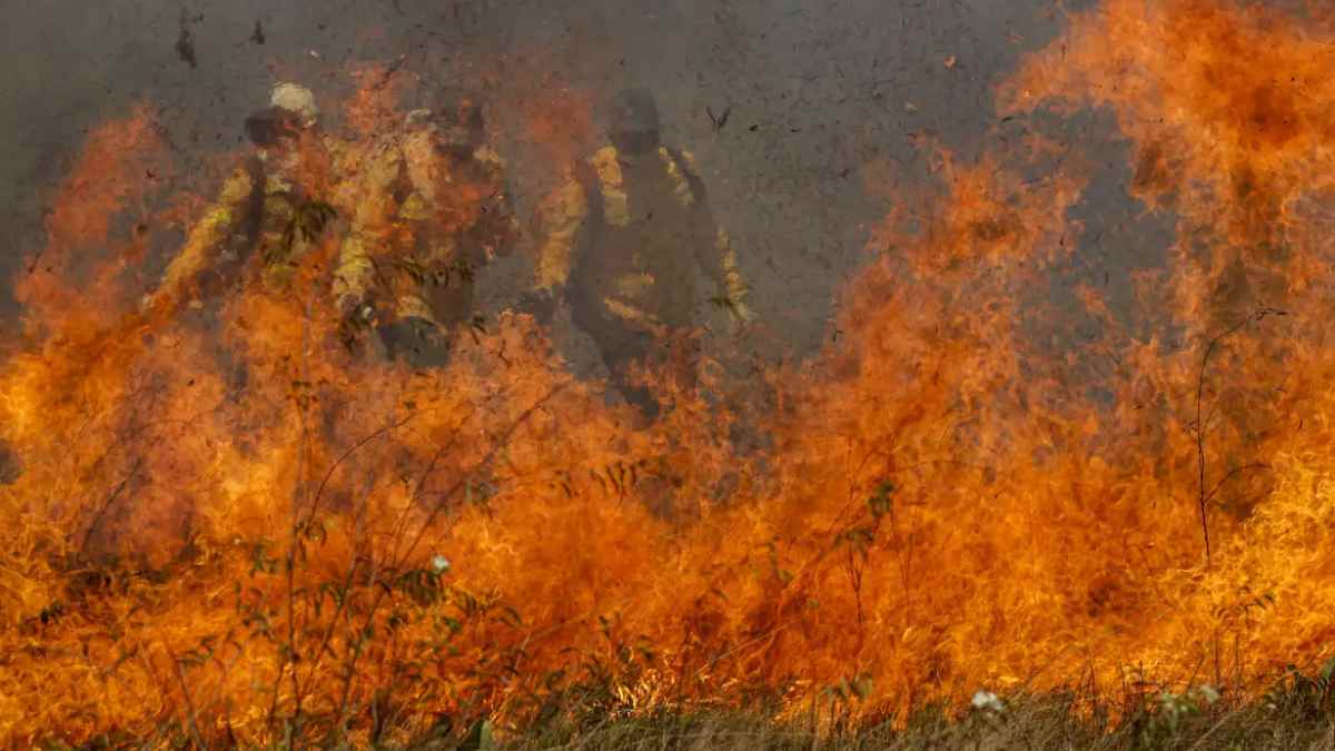 99,9% dos incêncios de SP foram causados por ação humana, afirma Defesa Civil