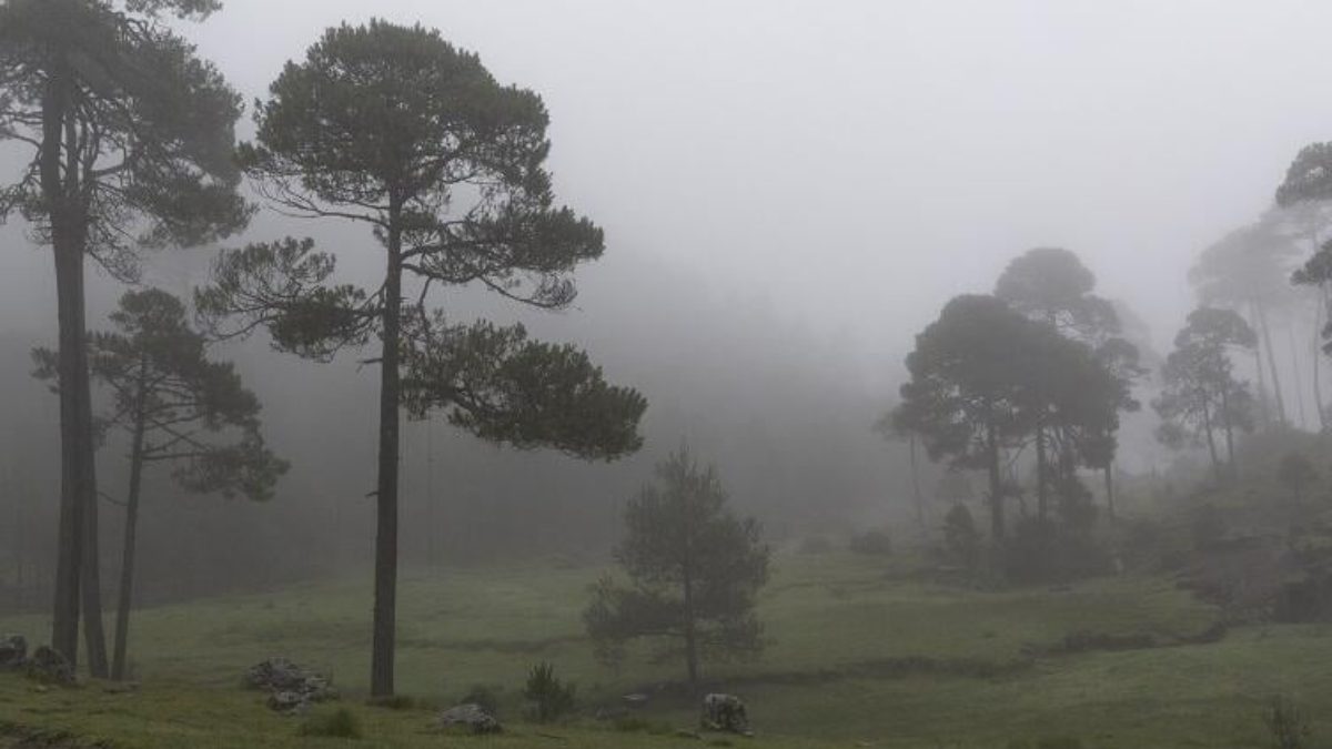 Nova frente fria traz chuva e frio intenso nesta semana no Paraná; veja quando
