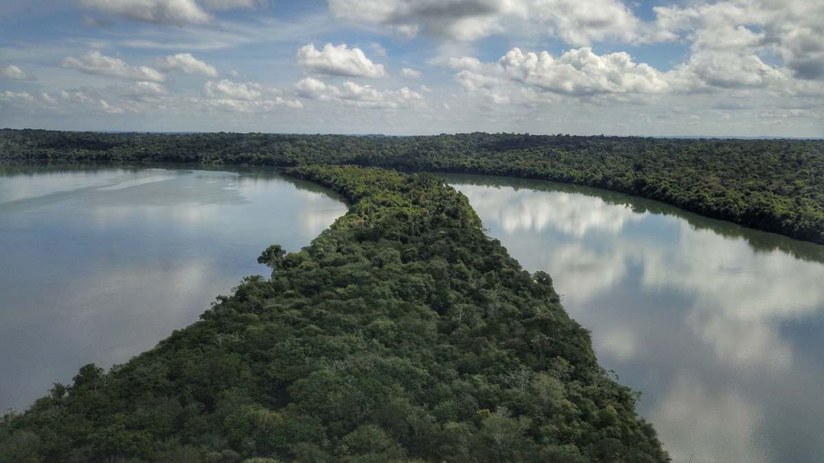 Paraná é o estado mais sustentável do Brasil com nota máxima