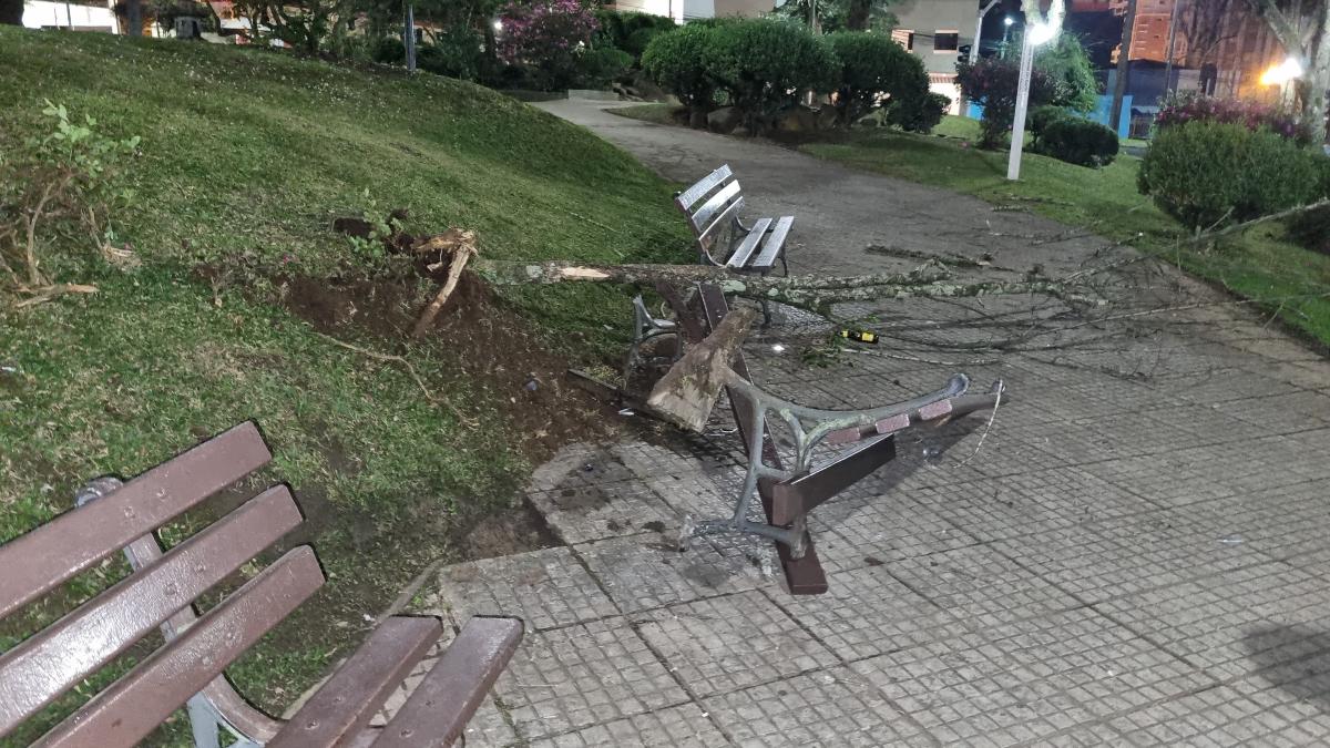 Motorista causou estragos na Praça do Japão 