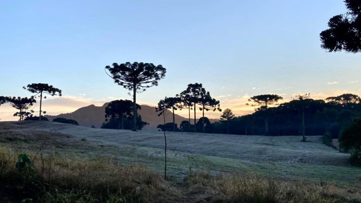 Previsão do tempo para Curitiba amanhã (13/08/2024), segundo o Climatempo