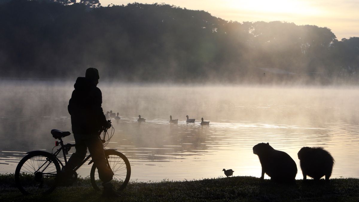 Previsão do tempo para Curitiba hoje (14/08/2024), segundo o Climatempo 