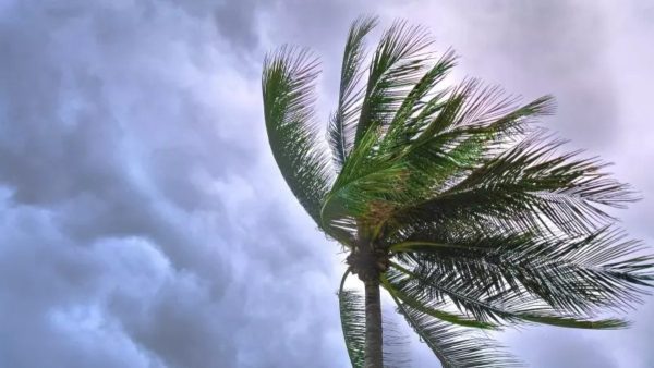 Frente fria e chuva devem avançar no Paraná nesta segunda (24); veja onde