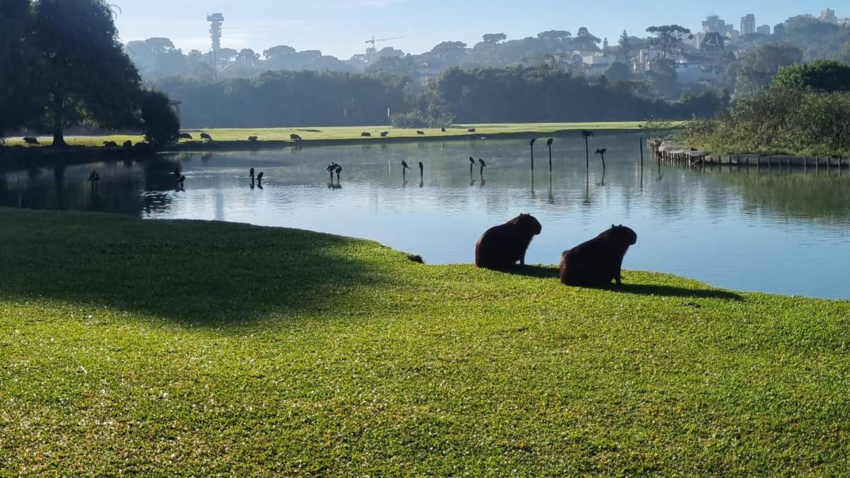 Sol volta a Curitiba nesta quinta-feira (1º) 