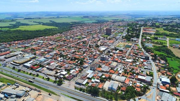 Mata ciliar aumenta no Paraná devido plantio de mudas