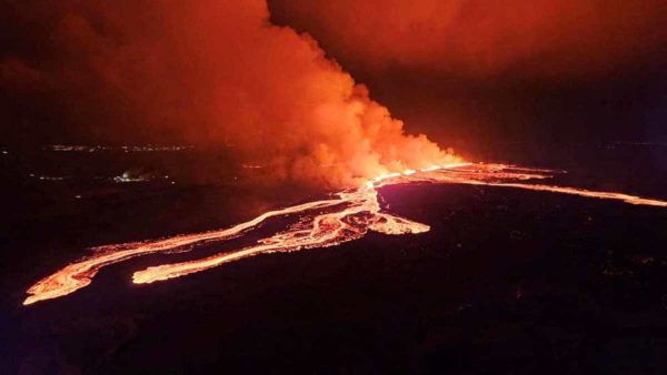 Mata ciliar aumenta no Paraná devido plantio de mudas