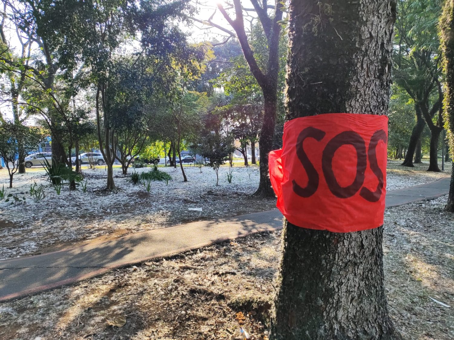 Justiça suspende obras do novo Inter 2 em Curitiba