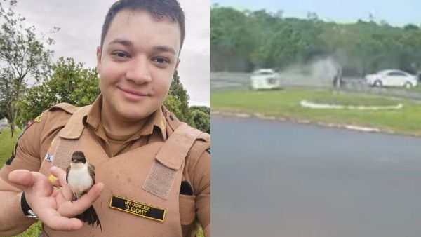 Policial que morreu em acidente no Paraná deixa a esposa e um filho