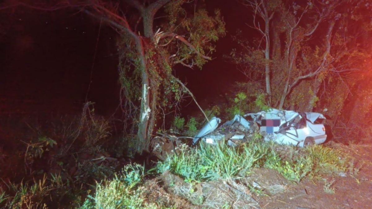 Homem morre após bater carro em árvore em acidente na PR-317