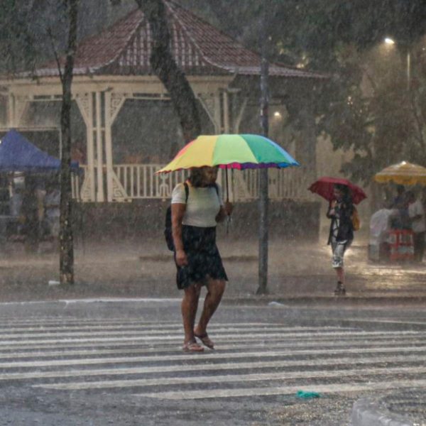 Paraná está em alerta de temporal e rajadas de vento de 100 km/h; veja onde