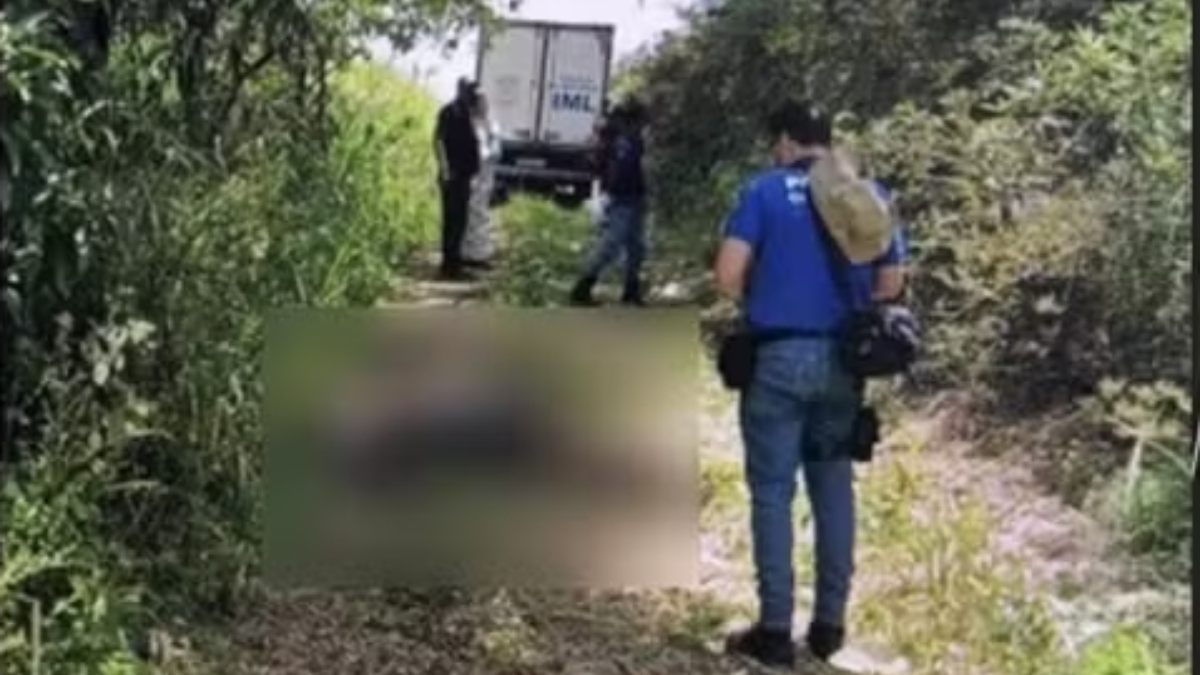 Amigos são sequestrados e encontrados mortos em propriedade rural