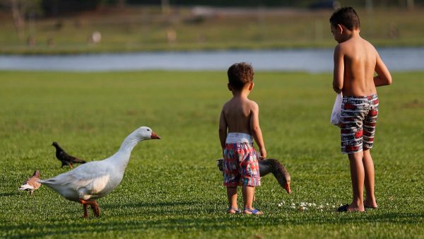 Temporais no Paraná