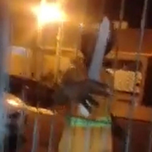 Suspeitos de matar idosa baleada ao defender filha são identificados