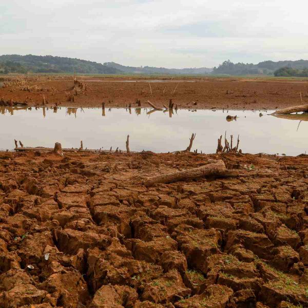 O programa Cidade Alerta é apresentado por Paulo Gomes