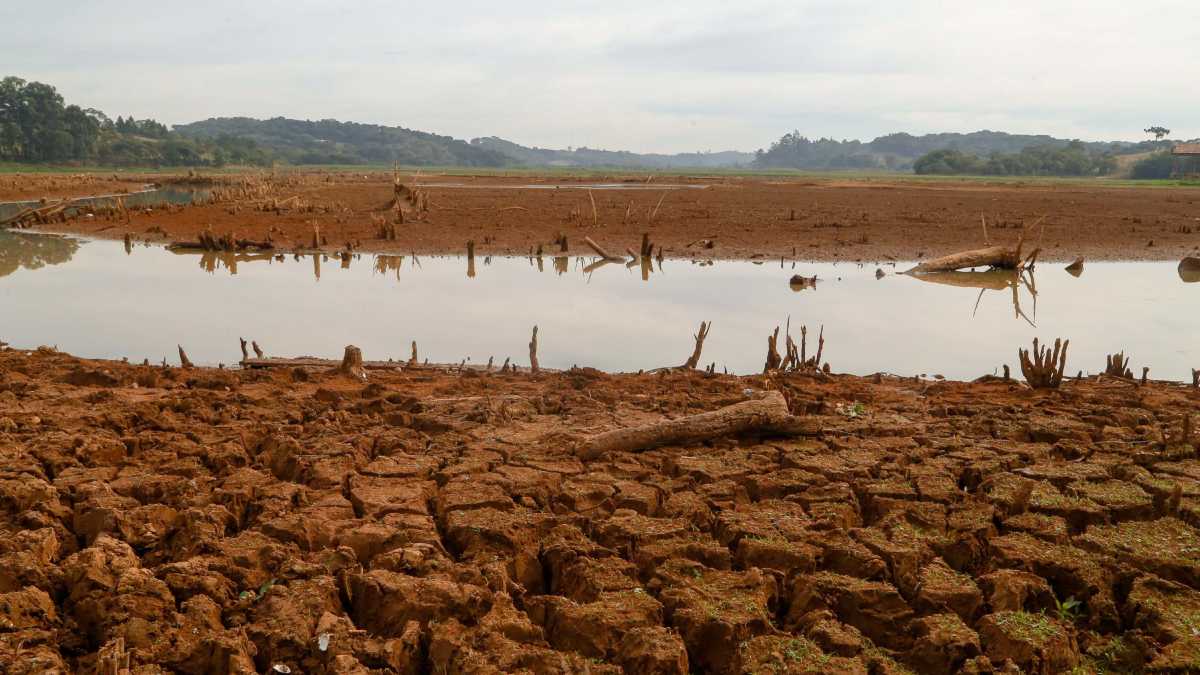 Estiagem no Paraná