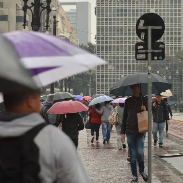 Frente fria traz risco de temporal e rajadas de vento de 50 km/h no Paraná