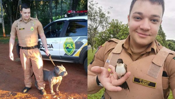 Policial que morreu em acidente no Paraná deixa a esposa e um filho