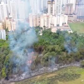 Um incêndio de grandes proporções em uma área de mata ameaça atingir casas e prédios da região da Gleba Palhano, em Londrina, nesta quinta-feira (26). As chamas que tomam conta de um bosque já se espalharam pelo bairro e começam a provocar danos também em outros pontos. Moradores relataram que o fogo atingiu algumas sacadas de prédios e destruiu um quiosque localizado dentro de um condomínio.