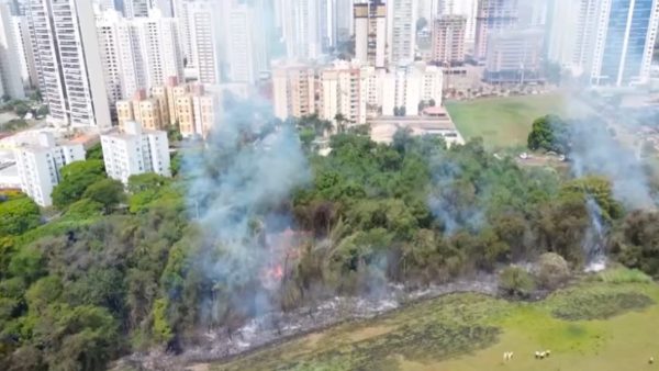 Idosa pega flores em frente prefeitura e é flagrada por jornal ao vivo; assista