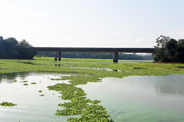 biblioteca-móvel-ambiental-londrina