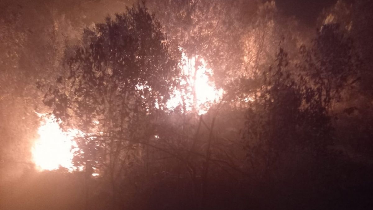 Paraná contrata aviões para combater incêndios florestais no estado