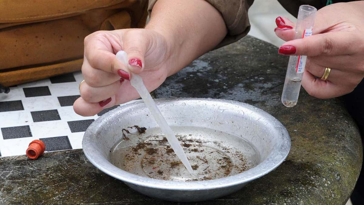 O boletim da dengue foi divulgado pela Sesa