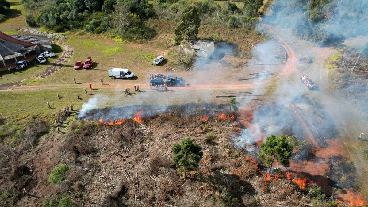 Paraná suspende queima controlada por 90 dias para prevenir incêndios