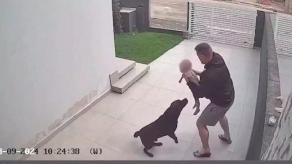 Homem e mulher são baleados durante chá de fraldas em Curitiba; veja vídeo