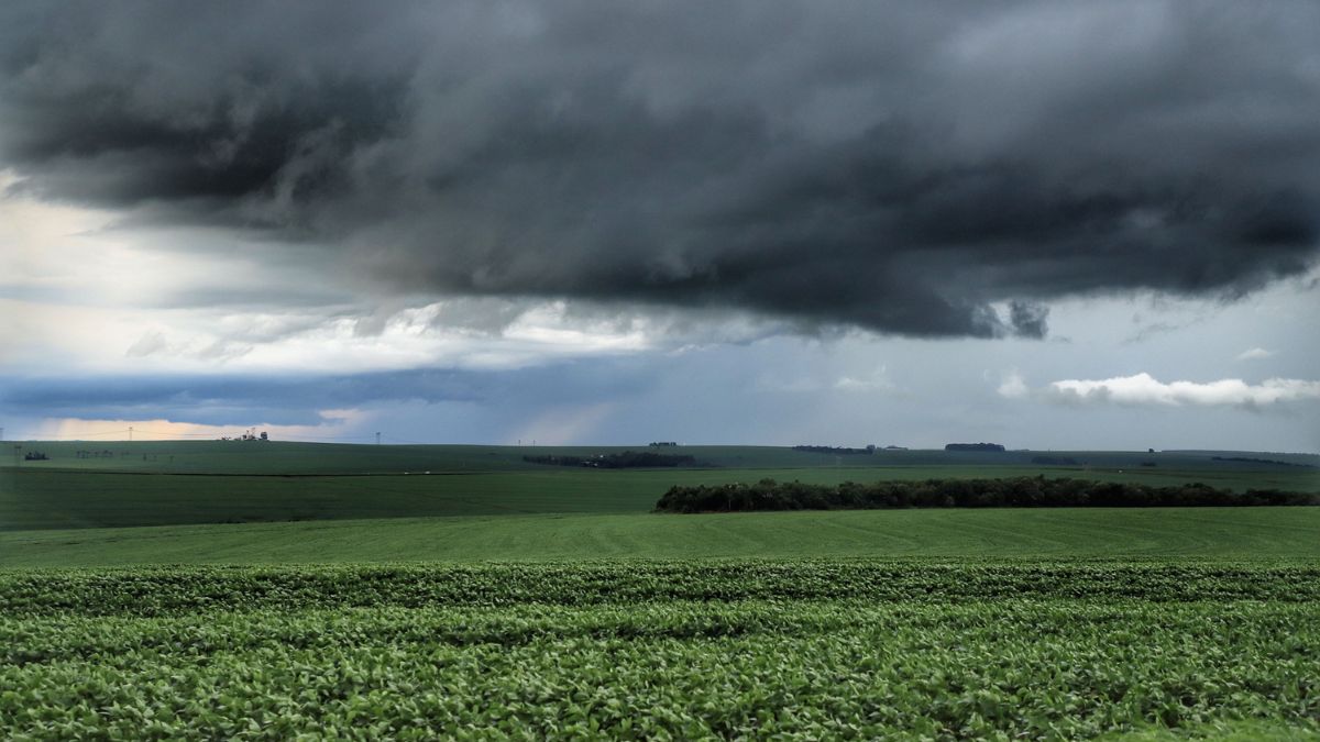 Previsão do tempo para Curitiba amanhã (14/09/2024), segundo o Climatempo