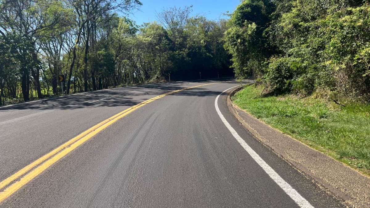 Uma operação da Polícia Rodoviária Federal (PRF) frustrou uma tentativa de saque a veículos na BR-277, em Nova Laranjeiras, na região central do Paraná, na noite de sábado (28). De acordo com a PRF, um grupo de indígenas cortou duas árvores para bloquear o tráfego na rodovia. Em seguida, esse mesmo grupo teria derrubado uma carga de farelo de soja de um caminhão sobre a pista, para impedir definitivamente a passagem dos veículos.