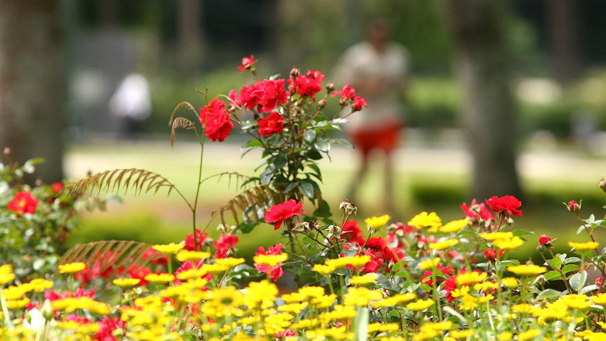 Primavera no Paraná terá chuvas frequentes e calor; veja previsão
