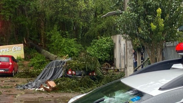 Tempestade no PR: queda de fios de alta tensão interdita BR-116; vídeo