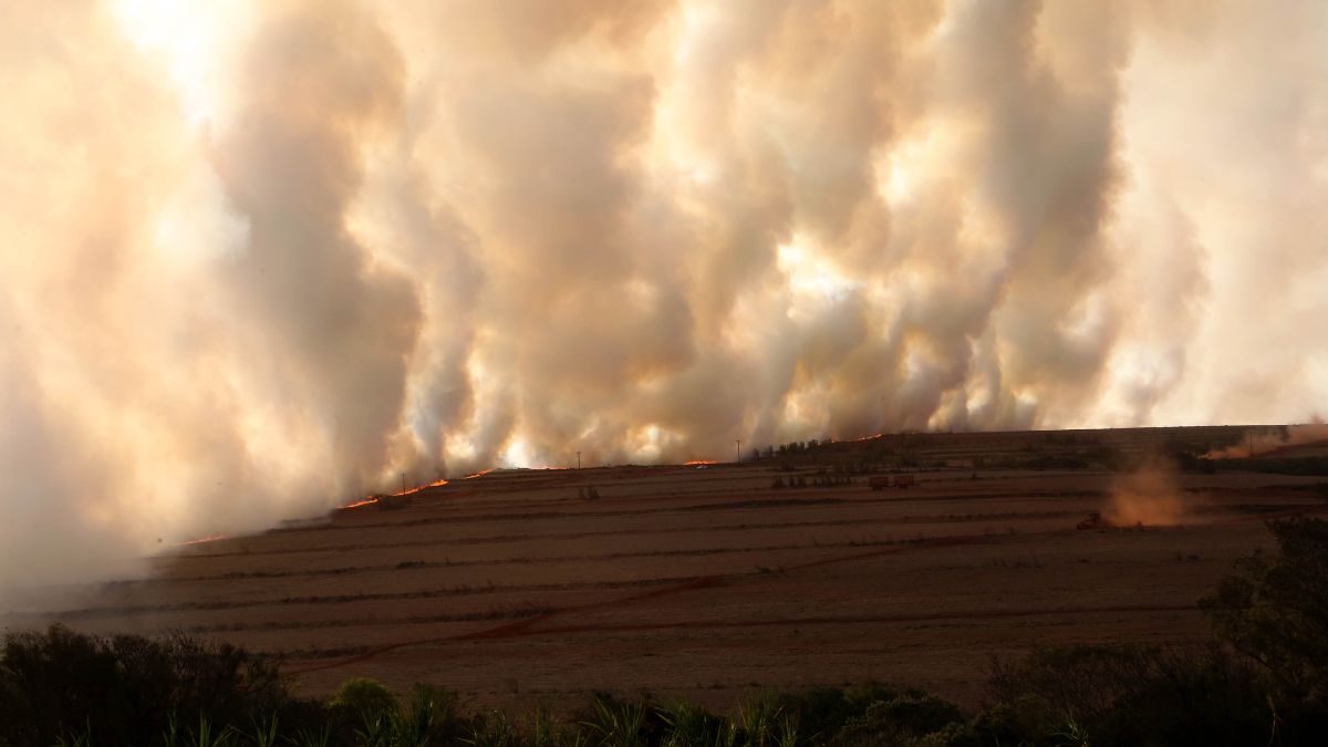 Paraná atinge pico mais crítico de queimadas florestais; estado está em alerta