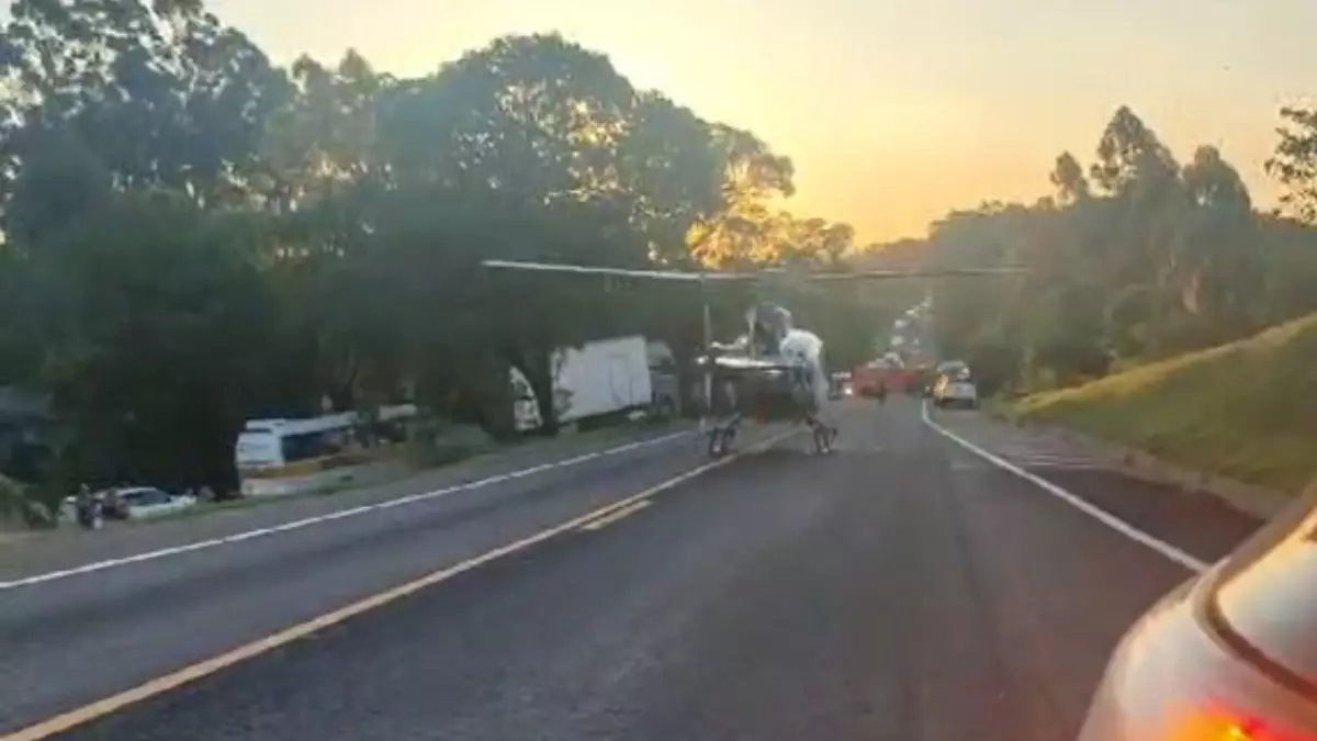 Acidente na BR-277 deixa um morto e quatro feridos