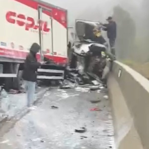 Um motorista de caminhão evitou que o engavetamento que envolveu ao menos 17 veículos e causou a morte de uma pessoa, na BR-277, tivesse consequências ainda mais graves. Isso porque ele jogou o caminhão no canteiro central da rodovia ao avistar o trânsito parado. Assim, ele evitou colidir contra alguns carros que estavam no final da fila formada após o primeiro acidente.