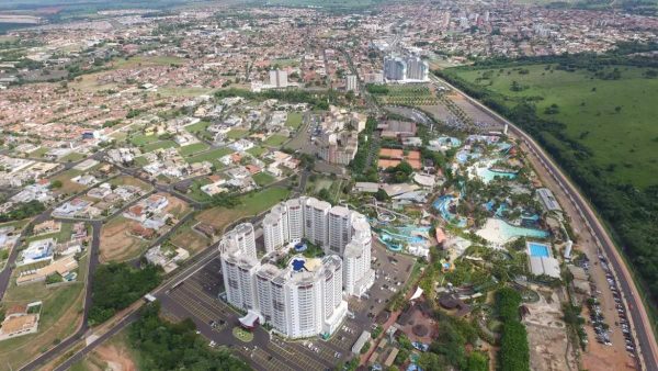 borrachudos em curitiba