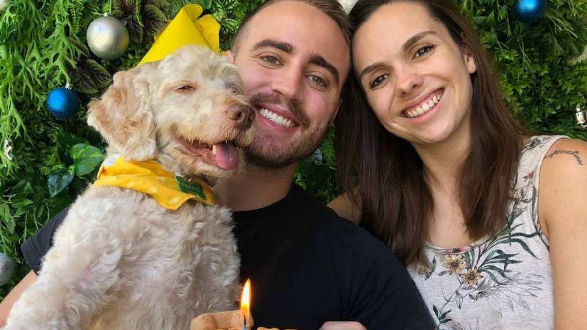 Cachorro morre eletrocutado e corpo fica no local por 30 horas