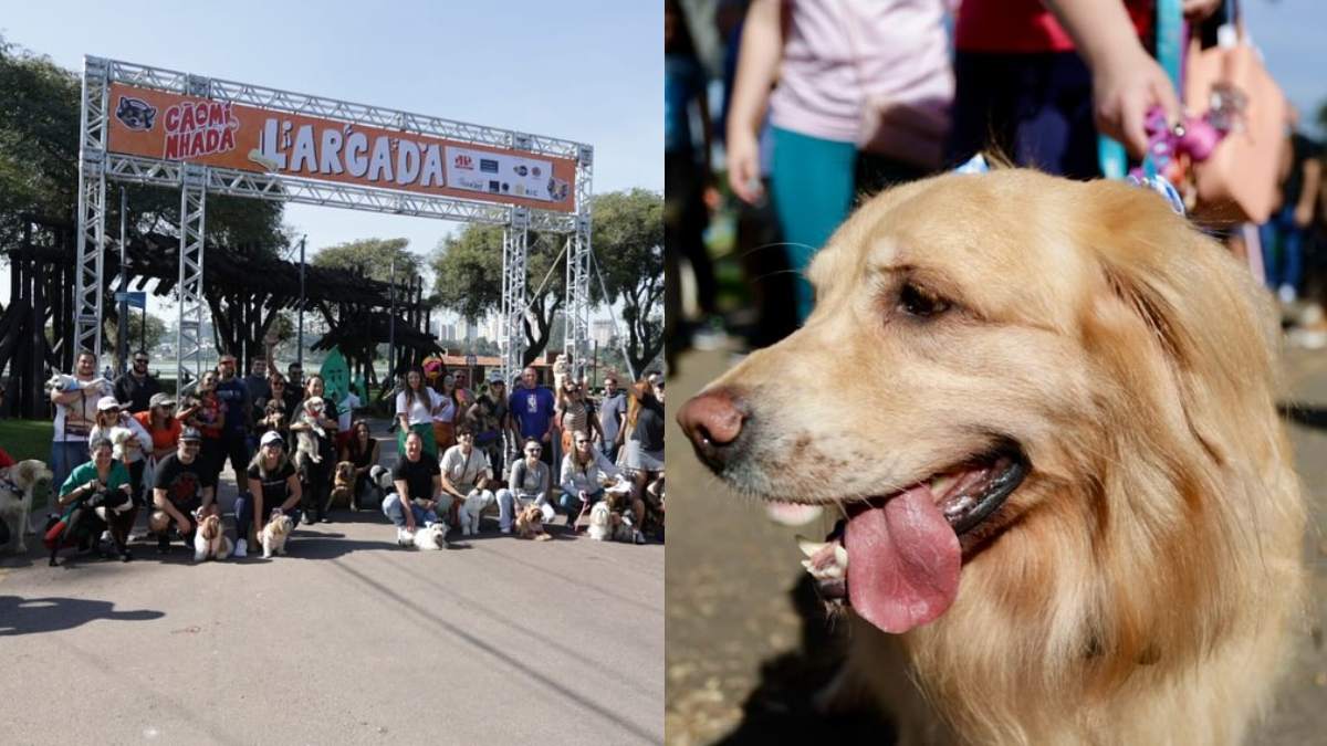 O evento será neste domingo