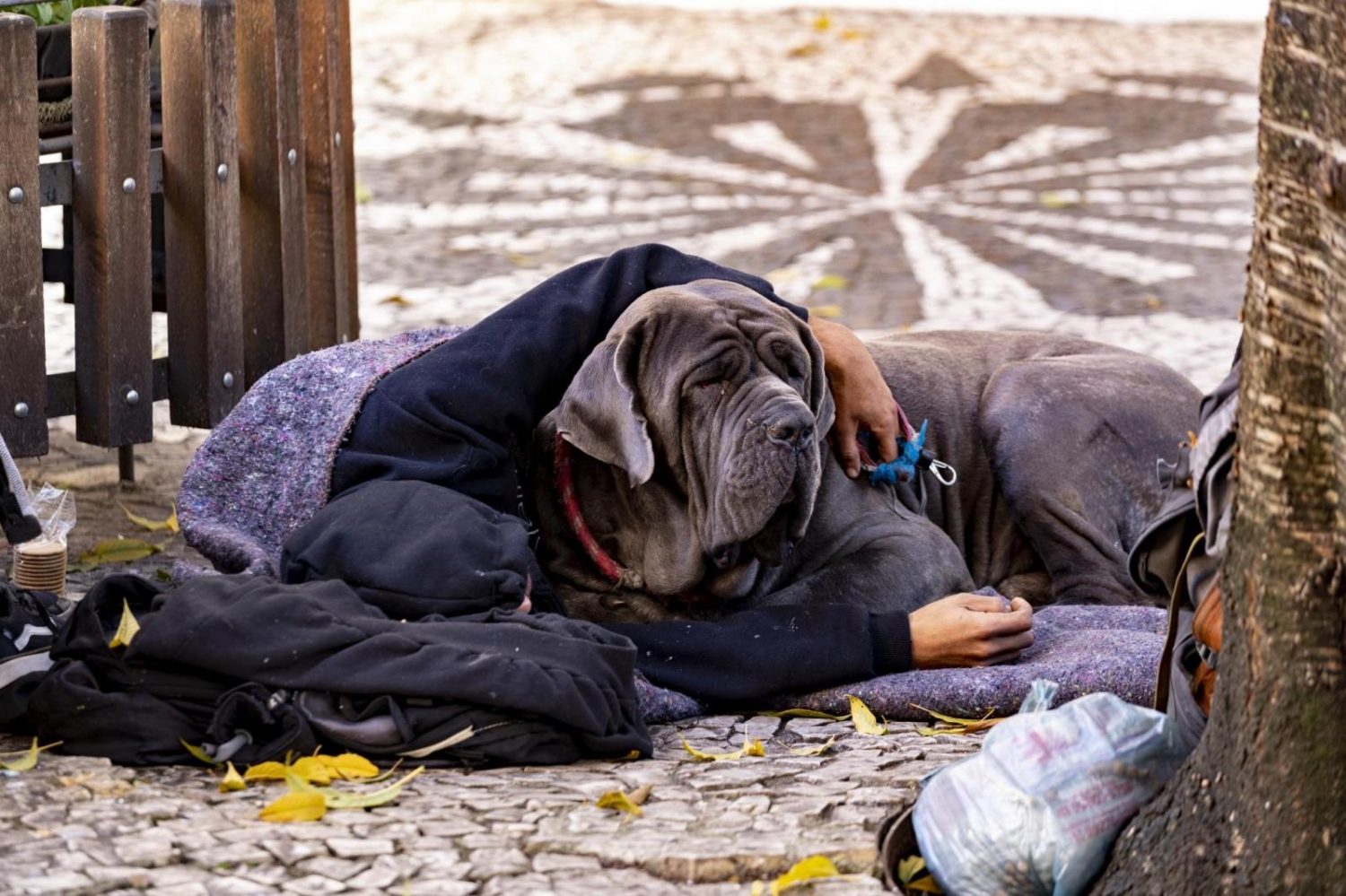 Quantas pessoas estão em situação de rua em Curitiba? Veja fact-checking