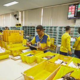 Concurso público do Paraná vai convocar mais de mil professores